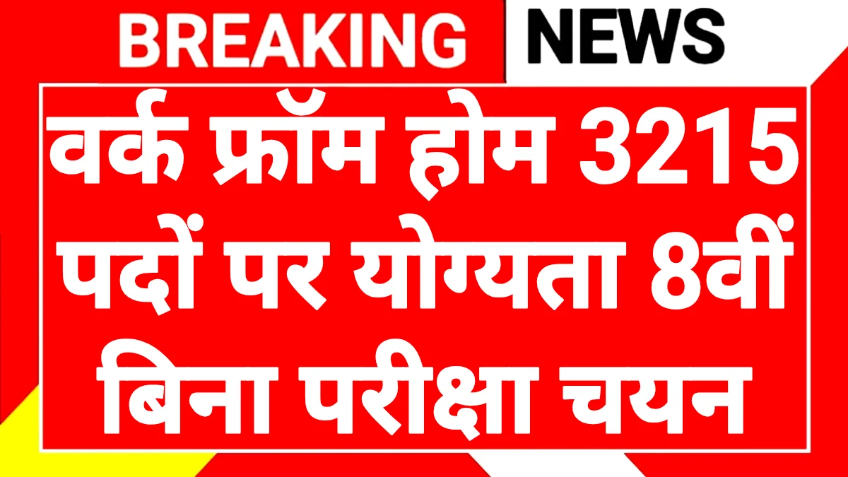 Women Work From Home Job