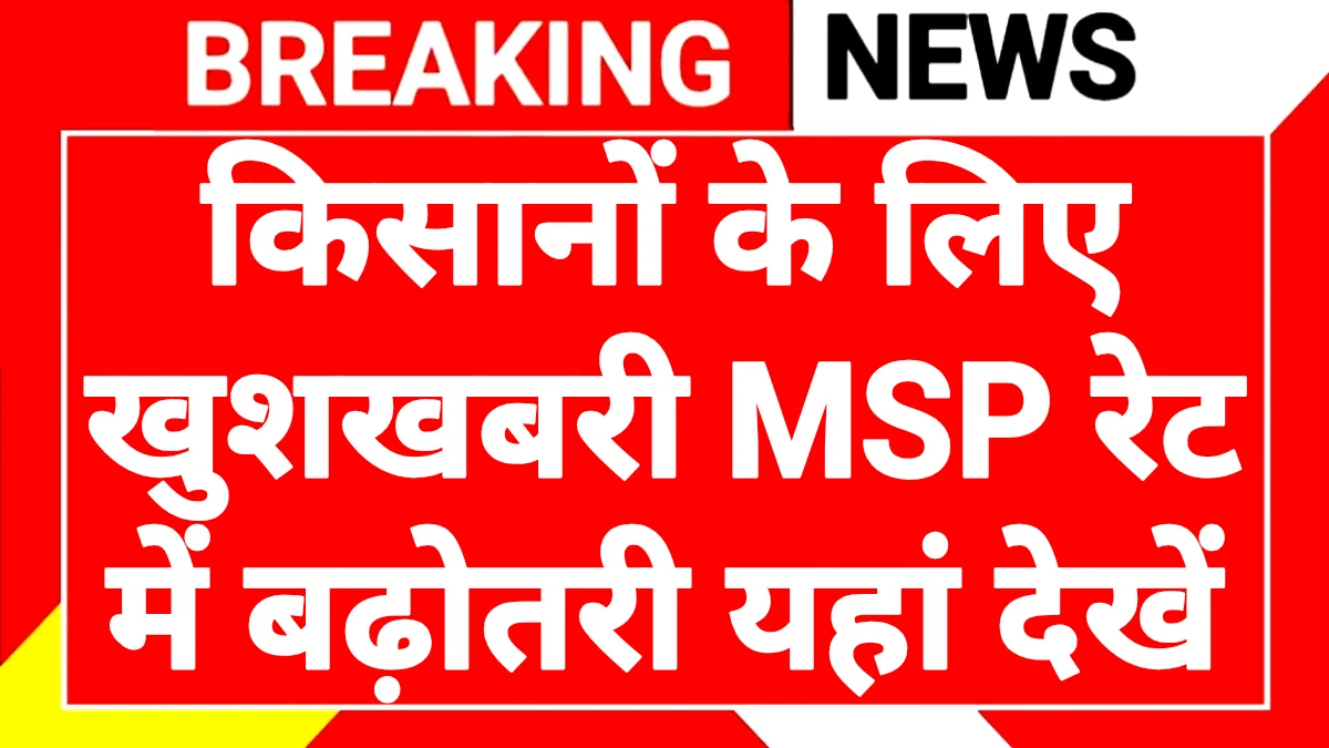 MSP Rate Increase 2026